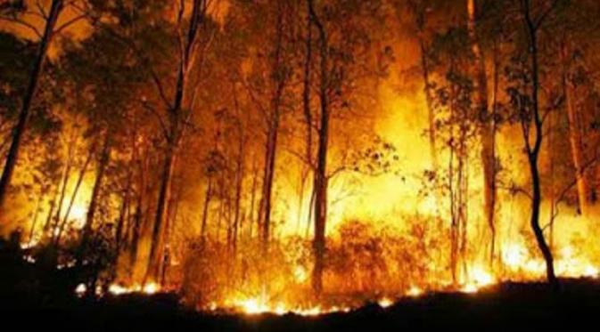 Penanganan Kebakaran Hutan dan Lahan di Riau