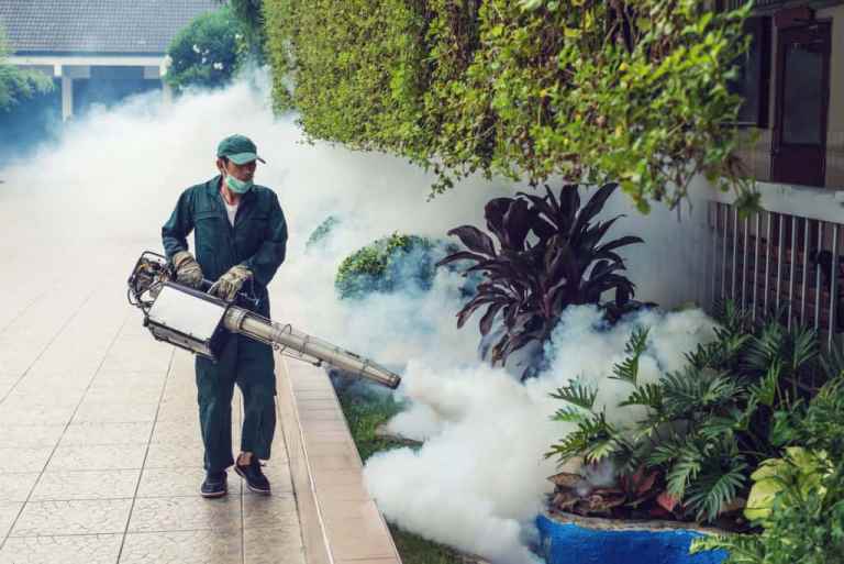 422 Warga Pekanbaru Terserang DBD, Lima Meninggal 