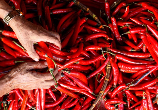 IRT di Bengkalis Siap-siap Hadapi Kenaikan Harga Cabe
