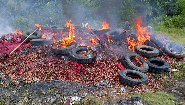 Karantina Dumai Sudah Empat Kali Musnahkan Bawang Ilegal 