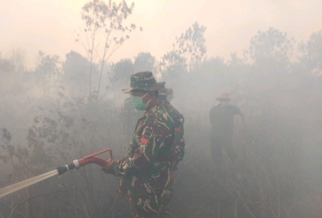 Ketua PABHR: Cabut Izin Perusahaan yang Lahannya Terbakar 