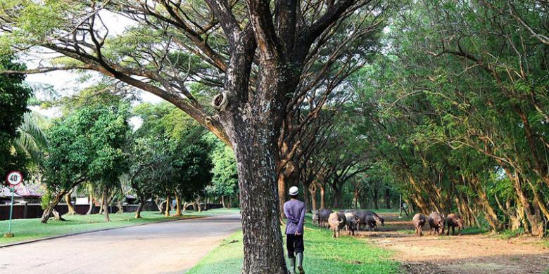 Infrastruktur Jadi Syarat Mutlak Kembangkan Pariwisata