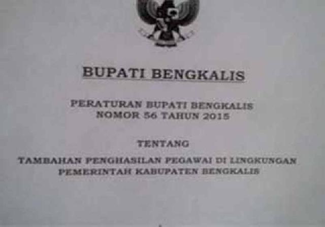 Kalangan di Bengkalis Desak Bupati Kurangi TPP 