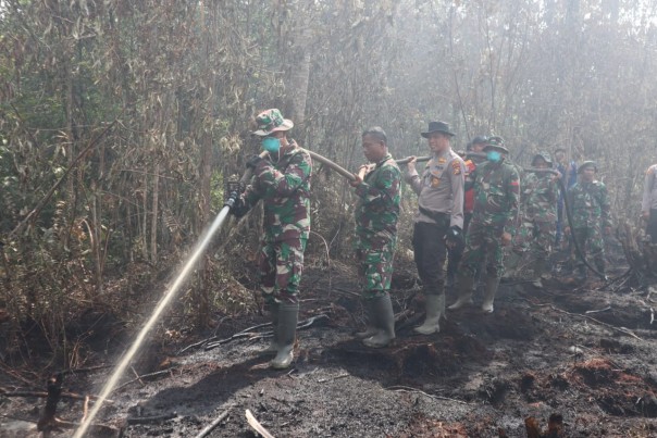 Tim Dandim Inhil Berjibaku Padamkan Karhutla di Desa Junjangan