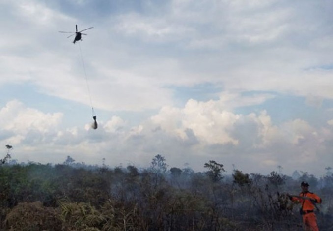 Karhutla Masih Marak, 3 Wilayah di Riau Berasap