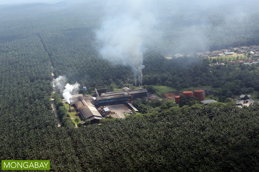 Apakah perusahaan Sawit Malaysia ini masih merusak hutan di Kalimantan - dan menjualnya ke Wilmar?