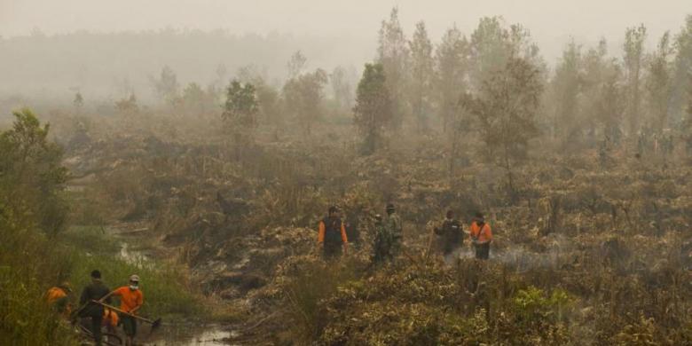 Atasi Kebakaran Hutan, Jokowi Diminta Lakukan Tiga Hal Ini 