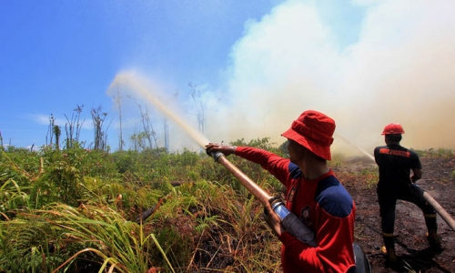 Untuk Padamkan Api Tahun Ini, BPBD-Damkar Dumai Hanya Dapat Bantuan Rp260 Juta 