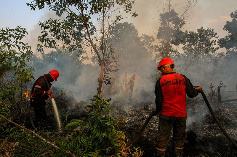 Jikalahari: Panglima TNI dan Kapolri Jenderal Penakut Melawan Kasus Karhutla di Riau 