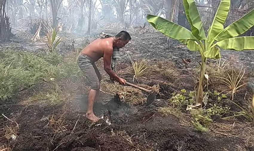 Pemda Janji Bantu Kebun Warga yang Terbakar 