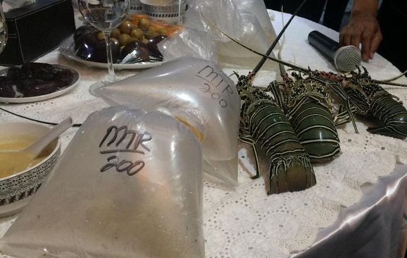 Serikat Nelayan Tolak Rencana KKP Ekspor Benih Lobster
