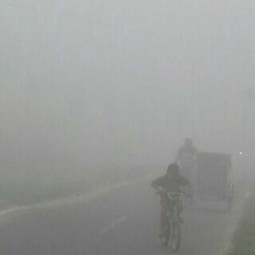 Kabut Asap Tak Menentu, Disdik Inhil Serahkan Keputusan Libur ke Masing-masing Sekolah 