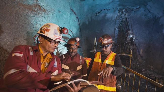 Investasi Besar, Freeport Cari Mitra Bangun Smelter 