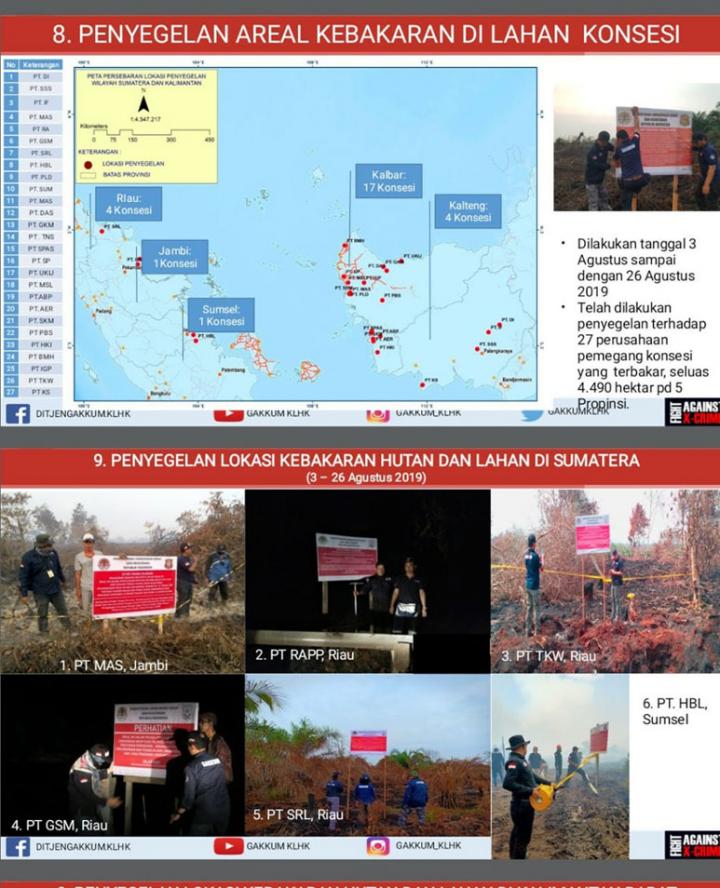 KLHK Segel Empat Konsesi di Riau, Termasuk PT RAPP