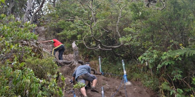 Pendakian Gunung Gede Pangrango Tutup Selama Bulan Agustus 