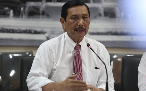 Luhut Yakin Proyek BBM Hijau Bisa Kerek Harga Sawit 50 Persen
