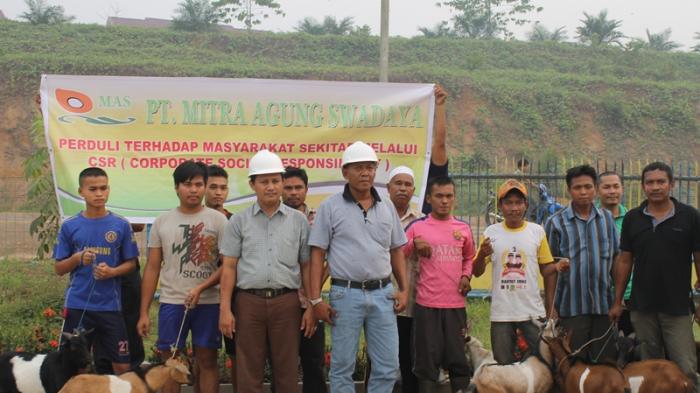 PT MAS Inhu Peduli Lingkungan Perusahaan, Sumbang 8 Ekor Kurban