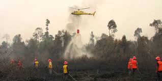 Dalam 2 Bulan, 1.880 Hektare Lahan Terbakar di Riau