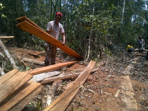 Polhut Siak Sita Barang Bukti Illog di Kawasan Hutan Lindung Zamrud