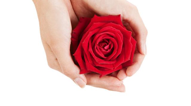 Seks Saat Menstruasi Dapat Cegah Kehamilan?