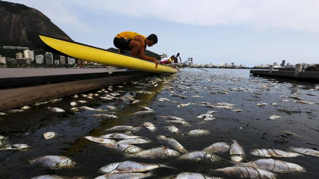 35 Ton Bangkai Ikan Penuhi Danau di China