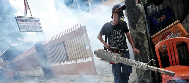 Seberapa Efektif Fogging Tekan Kasus DBD? 