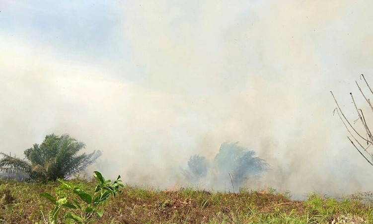 Kebakaran Makin Meluas, Polda Riau Tetapkan 35 Tersangka 