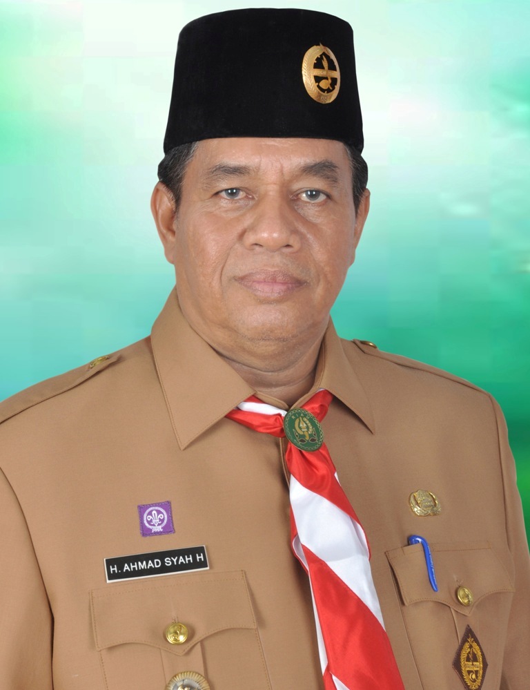 Bengkalis peringatan HUT Pramuka ke-54 tahun 2015
