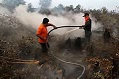 12 Titik Panas Terpantau di Riau Hari Ini 