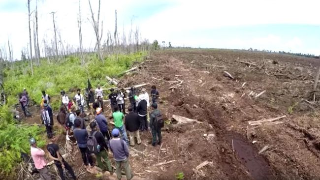 Sidak Ketua BRG Dihadang Satpam Perusahaan, Kadisbun Riau Dulu Juga Mendapat Perlakuan Sama