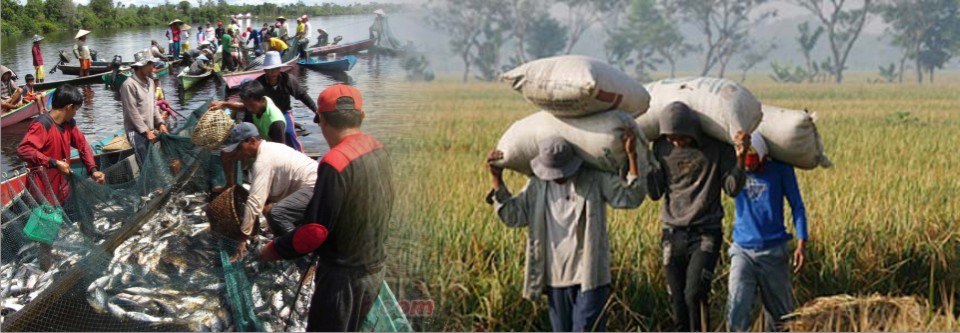 Desa dan Ekonomi Kita