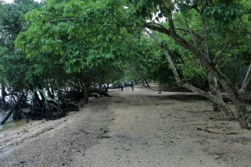 Selama Lebaran, Disporbudpar Inhil akan Gelar Hiburan Khusus di Pantai Solop