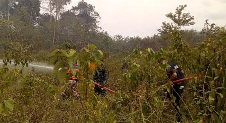 4 Hektar Lahan di Jalan Lingkar Pasirpangaraian, Rohul Hangus Terbakar