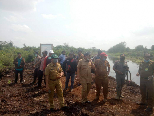 Gara-gara Sekat Kanal PT BKM Sawah di Bungaraya Kekeringan 