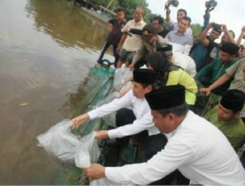 Syamsuar Tabur 2.500 Benih Ikan Patin di Sungai Siak 