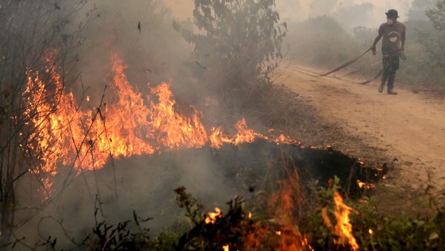 LAPAN Deteksi 567 Titik Panas, Terbanyak di Kalbar 