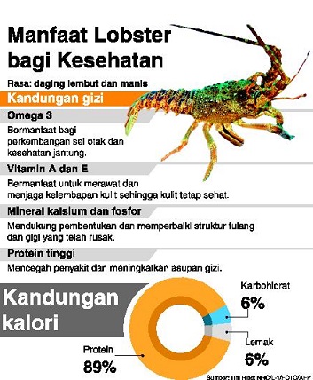 Kiara Soal Ekspor Lobster : Perhatikan Aspek Lain yang Esensial 
