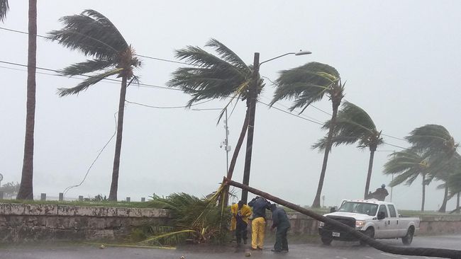 Hantam Florida, Topan Matthew Tewaskan 4 Warga AS