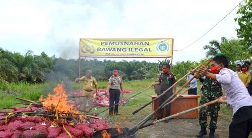 Polres Siak Musnahkan 6 Ton Bawang Merah dan 5.406,82 Gram Ganja Kering