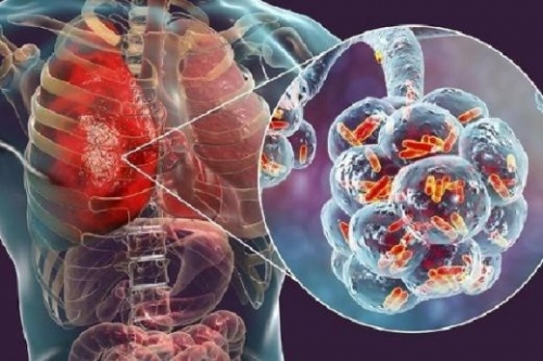 Virus Corona Merebak, Masyarakat Riau Diimbau Tidak Panik 
