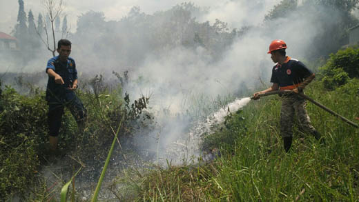 Lahan Kosong Dekat Pemukiman di Pasirpangaraian Terbakar