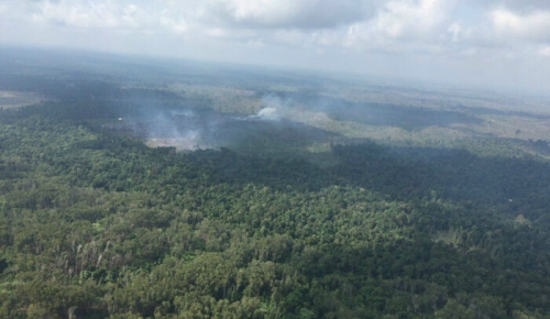 Kebakaran di TNTN Masih Berlangsung, Satgas Darat dan Udara Berjibaku Padamkan Api 