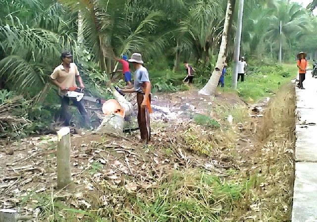 Satu Per Satu, Kampung Terang Benderang