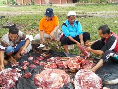 Pemko Pekanbaru Buka Pendaftaran Peserta Qurban 