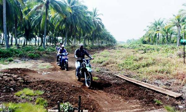 5 Tahun Irwan Jadi Bupati Meranti, Jalan Sepanjang 3 KM Ini Pun Tak Terbangun