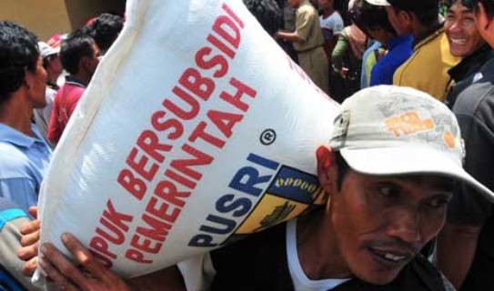 Dewan Sebut RDKK Rawan Selewengkan Pupuk Bersubsidi di Riau 
