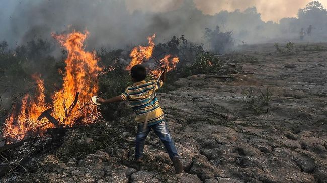 Pemprov Riau Dinilai Tidak Tegas Atasi Karhutla