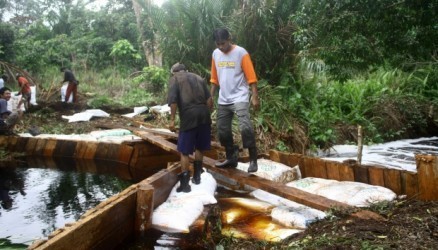 Kepala BNPB akan Tinjau Sekat Kanal di Kepulauan Meranti