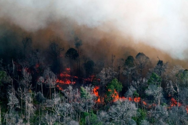 Puluhan Hektare Lahan Diduga Terbakar