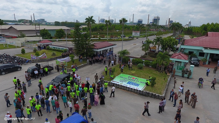 Demi Profit: PT RAPP, Pembangkangan atas Regulasi dan Ancaman Kehancuran Ekologis Provinsi Riau